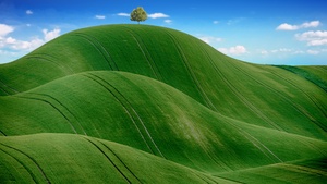 Green Meadow, Countryside, Agriculture, Hills, Blue Sky, Landscape, Scenery, 4K wallpaper
