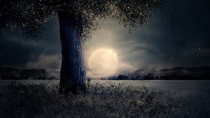 Full moon, Night view, Landscape, Surreal, Fairy tale, Wood, Mystic, Trunk, 4K wallpaper
