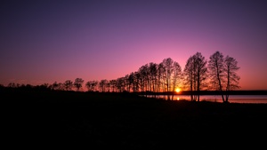 Finland, Landscape, Sunset, Purple sky, Silhouette, Trees, Lake, Scenery, Dusk, 4K wallpaper