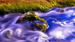 Green Moss, Water Stream, Long exposure, Rock, Purple, Mossy rocks, 4K wallpaper