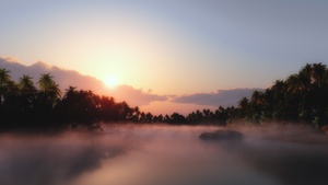Sunrise, Palm trees, Mist, Foggy, Tropical, Body of Water, Landscape, Clouds, Scenery, 4K wallpaper