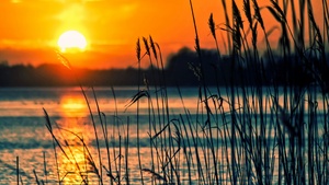 Sunset, Lake, Scenery, Dusk, Silhouette, Landscape, Orange sky, 4K wallpaper