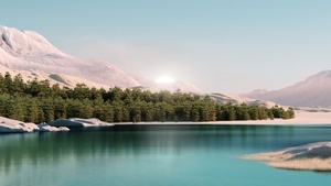 Windows 11, Forest, Landscape, Scenery, Sunrise, Stock, Daylight, 4K wallpaper