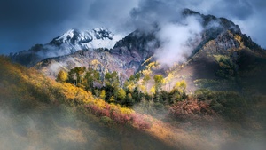 Colorado, Mountain Landscape, Fall Colors, Clouds, Autumn Forest, Aspen trees, 4K wallpaper