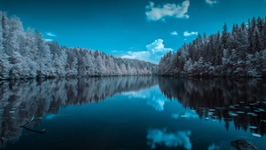 Forest, Infrared vision, Blue Sky, Mirror Lake, Reflection, Body of Water, Landscape, Pine trees, 4K wallpaper