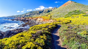 Big Sur, Coastline, California, Pacific Coast Highway, Rocky coast, Plateau, Blue Sky, Clear sky, Landscape, Ocean Waves, Seascape, Pathway, 4K wallpaper