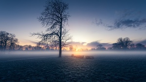 Sunrise, Trees, Silhouette, Early Morning, London, England, Mist, Foggy, Winter, Landscape, Meadow, 4K wallpaper