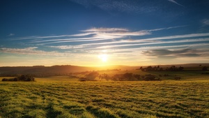 Green Meadow, Landscape, Grass field, Sunset, United Kingdom, 4K wallpaper