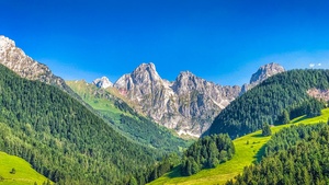 Alps mountains, Mountain range, Summer, Sunny day, Forest, Clear sky, Blue Sky, Landscape, Switzerland, 4K wallpaper