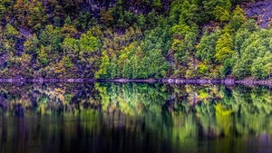 Rainforest, Cliff, Rock, Trees, Lake, River, Forest, Reflection, Norway, 4K wallpaper