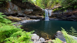 Oregon, Waterfalls, Forest, Landscape, Green Trees, Ferns, Body of Water, Water Stream, Long exposure, 4K wallpaper