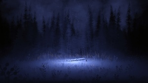 Light, Night, Forest, Winter, Foggy, Dark, 4K wallpaper