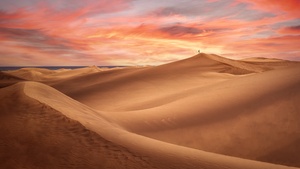Desert, Evening, Sand Dunes, Alone, Sunset, 4K wallpaper