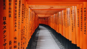 Shrine, Kyoto, Japan, Orange, Torii Pass, 4K wallpaper