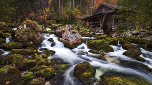 Gollinger Mill, Austria, Waterfalls, Rocks, Long exposure, Green Moss, Forest, Tall Trees, Woods, Landscape, Scenery, Flowing Water, 4K wallpaper