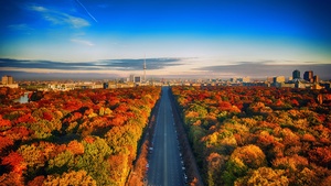 Autumn trees, Germany, Highway, Colorful, Blue Sky, Cityscape, Berlin TV Tower, Landscape, Beautiful, 4K wallpaper