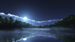 Moonlight, Night time, Palm trees, Body of Water, Reflection, Stars, Clouds, 4K wallpaper