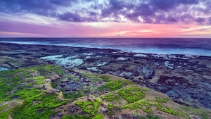 Rocky coast, Seascape, Green Moss, Sunset, Purple sky, Horizon, Ocean, Cloudy, Landscape, 4K wallpaper