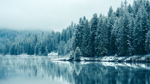 Snowfall, British Columbia, Canada, Forest, Winter, Snowy Trees, Mirror Lake, Reflection, Landscape, Misty, Early Morning, 4K wallpaper