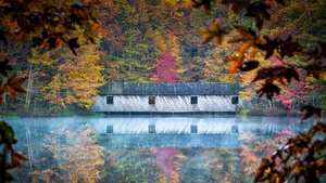Alabama, Reflection, River, Autumn, Trees, 4K wallpaper