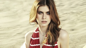 Alexandra Daddario, Portrait, American actress, Beautiful actress, 4K wallpaper