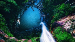 Waterfall, Aerial view, Forest, 4K wallpaper