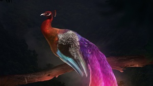 Peacock, Mythical, Digital Art, 4K wallpaper