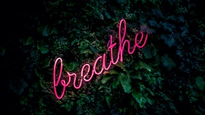 Neon sign, Green background, Green leaves, Pink, Girly backgrounds, 4K wallpaper