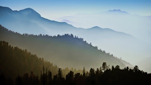 Mac OS X, Mountains, Forest, Hills, Foggy, Morning, Stock, 4K wallpaper