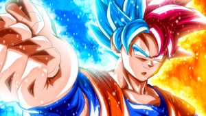 Goku, Super Saiyan Blue, Super Saiyan God, Dragon Ball Super, 4K wallpaper