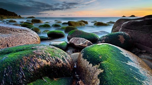 Rocky coast, Beach, Green Moss, Seascape, Long exposure, Horizon, Cloudy Sky, Evening, Landscape, Mossy rocks, 4K wallpaper