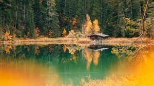Lake house, Forest, Green Trees, Alpine trees, Reflection, Landscape, Scenery, 4K wallpaper