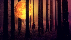 Full moon, Kid, Forest, Woodland, Surreal, Mystic, Night time, Tall Trees, 4K wallpaper
