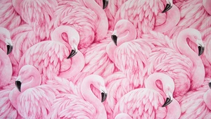 Painting, Feathers, Beautiful, Aesthetic, 4K wallpaper