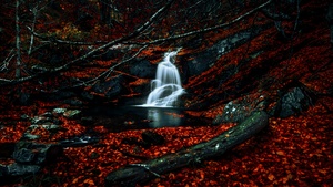 Waterfalls, Autumn, Dark Forest, Foliage, Woods, Red leaves, Fallen Leaves, Water Stream, Scenic, Dark red, 4K wallpaper