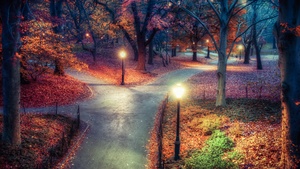 New York City, Autumn leaves, Path, Night, Lights, Beautiful, 4K wallpaper