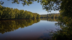Trees, Reflection, Pleasant, Sunny day, 4K wallpaper