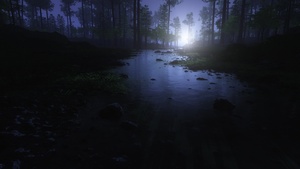 Dark Forest, Water Stream, Trees, Landscape, Woods, Night time, 4K wallpaper