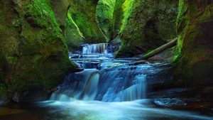 River, Waterfall, Stream, Green Moss, Scotland, Tourist attraction, Landscape, Mossy rocks, 4K wallpaper