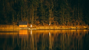 River, Forest, Wooden House, Reflection, Tall Trees, Landscape, Vacation, 4K wallpaper