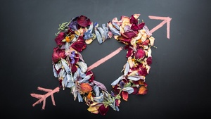 Love heart, Petals, Dark background, Colorful flowers, Arrow, 4K wallpaper