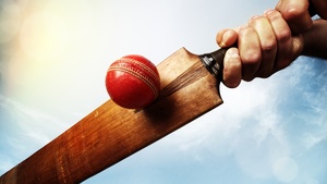 Cricket bat, Playing, 4K wallpaper