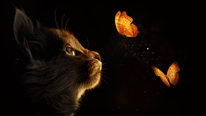 Kitten, Cat, Butterflies, Black background, Glowing, Manipulation, Closeup, Cute Cat, 4K wallpaper