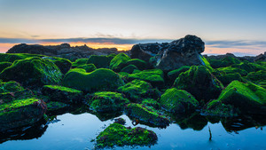 Seashore, Sunset, 4K wallpaper