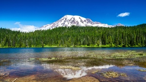 Mount Rainier National Park, Washington State, Landscape, Lake, Reflection, Green Trees, Clear sky, Blue Sky, Glacier mountains, Snow covered, Scenery, 4K wallpaper