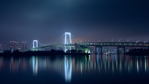 Rainbow Bridge, Night, Tokyo, Japan, Suspension bridge, Waterfront, Silhouette, Cityscape, City lights, Night time, Skyscrapers, Reflection, 4K wallpaper