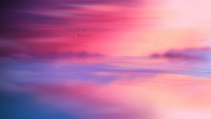 Pink sky, Horizon, Scenic, Flying birds, Seascape, Sunset, Aesthetic, 4K wallpaper