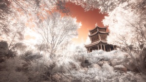 Pagoda, Temple, Ancient architecture, Trees, Infrared vision, 4K wallpaper