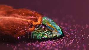 Peacock feather, Aesthetic, Water drop, Selective Focus, Macro, Closeup Photography, Blur background, 4K wallpaper