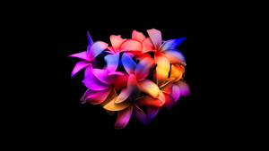 Colorful, Black background, AMOLED, 4K wallpaper